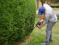 Ortega Greenwood Landscaping - Evergreen Hedging