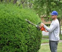 Ortega Greenwood Landscaping - Evergreen Hedging