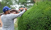 Ortega Greenwood Landscaping - Evergreen Hedging