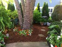 Ortega Greenwood Landscaping - Mulch